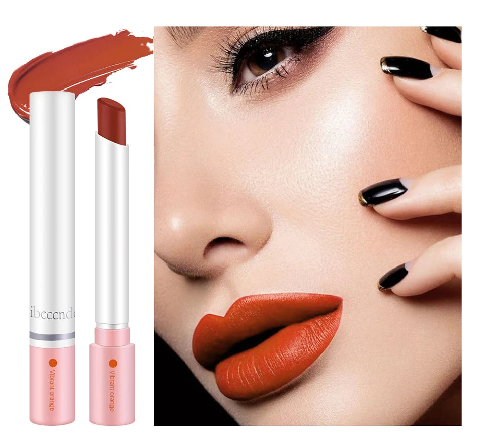 Daily makeup matte lipstick set for long lasting velvet lip tint color - 11