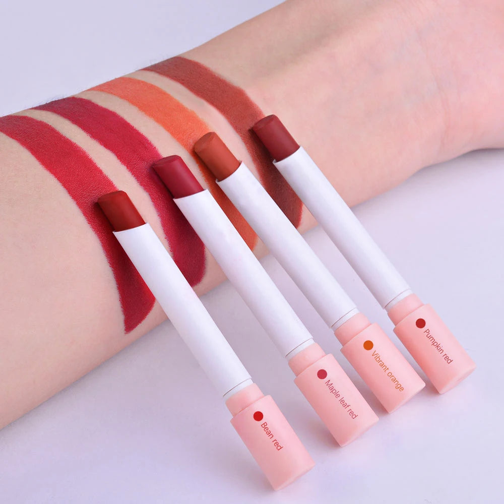 Daily makeup matte lipstick set for long lasting velvet lip tint color