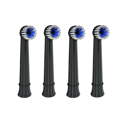 Bathroom Morning Routine Mornwell T37 Toothbrush Head Replacement Pack