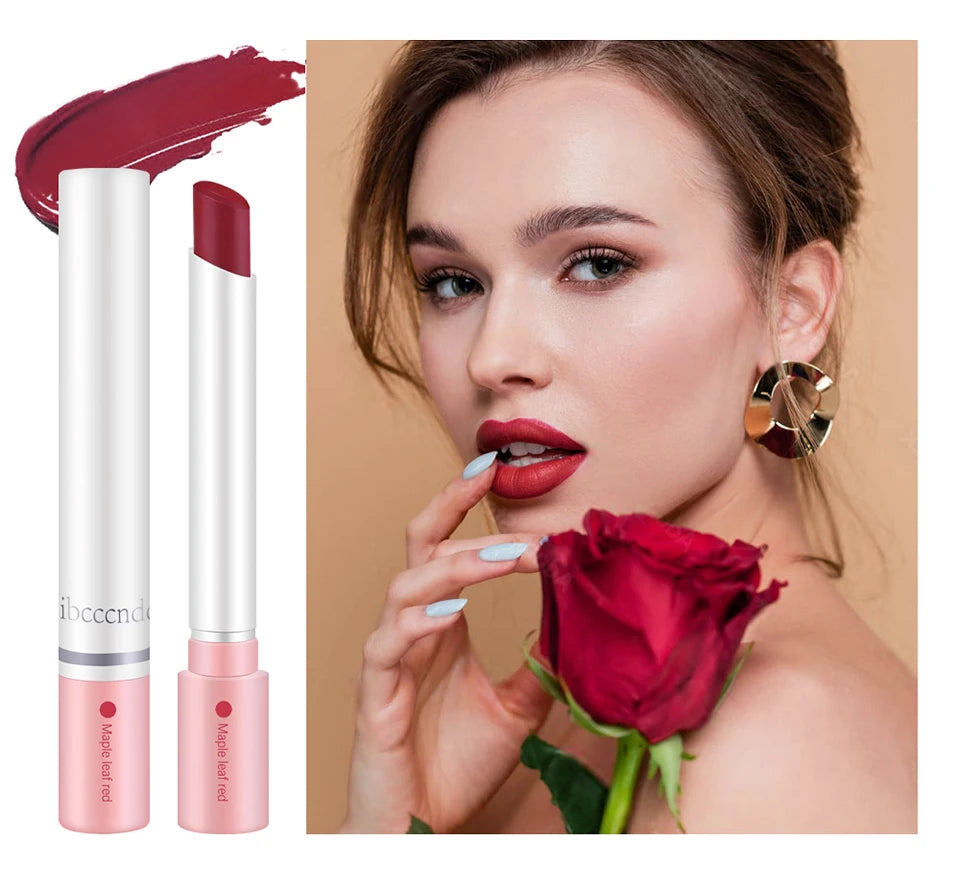 Daily makeup matte lipstick set for long lasting velvet lip tint color